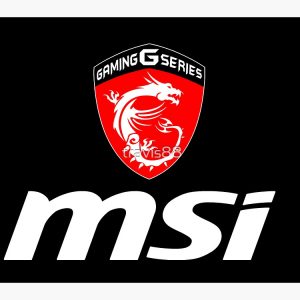 MSI