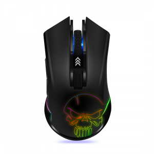 Souris
